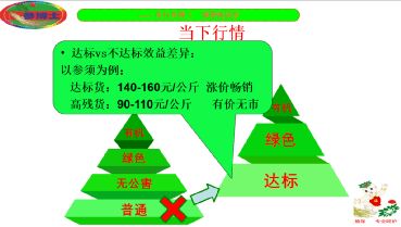 撫松縣人參產(chǎn)業(yè)重大技術(shù)協(xié)同推廣項(xiàng)目培訓(xùn)會(huì)開講，技術(shù)賦能人參產(chǎn)業(yè)升級(jí)